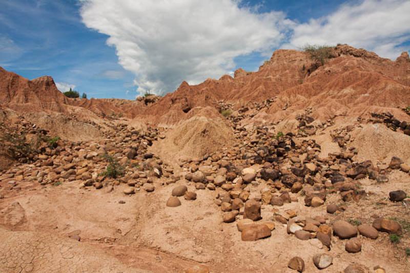 Sector del Cuzco, Desierto de la Tatacoa, Huila, N...