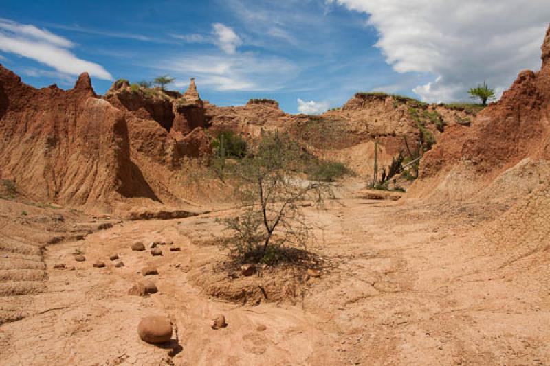 Sector del Cuzco, Desierto de la Tatacoa, Huila, N...