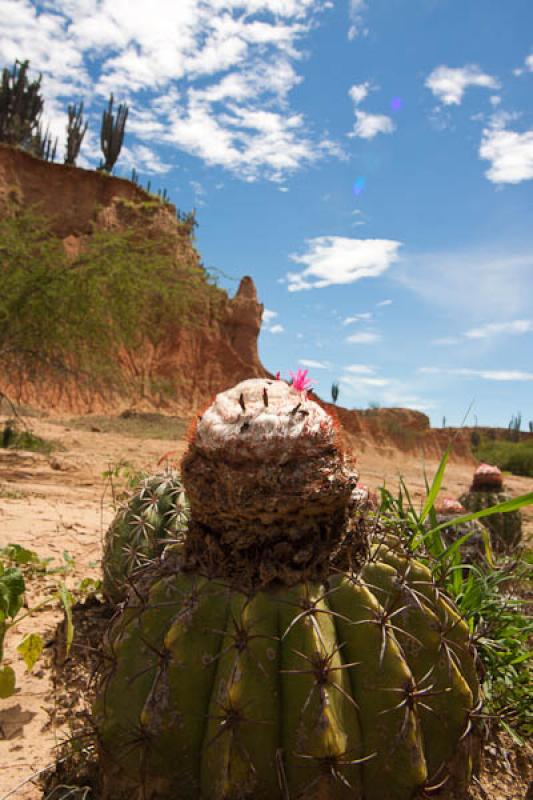 Sector del Cuzco, Desierto de la Tatacoa, Huila, N...