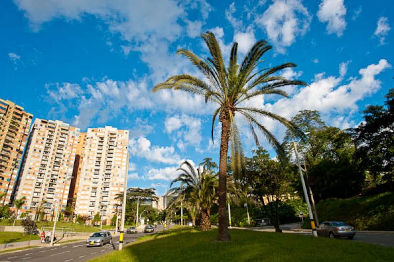 Balsos de Oviedo, Los Balsos, El Poblado, Medellin...