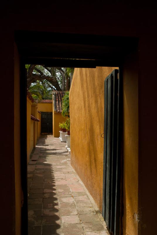 Hacienda Florida de San Pedro Alejandrino, Quinta ...