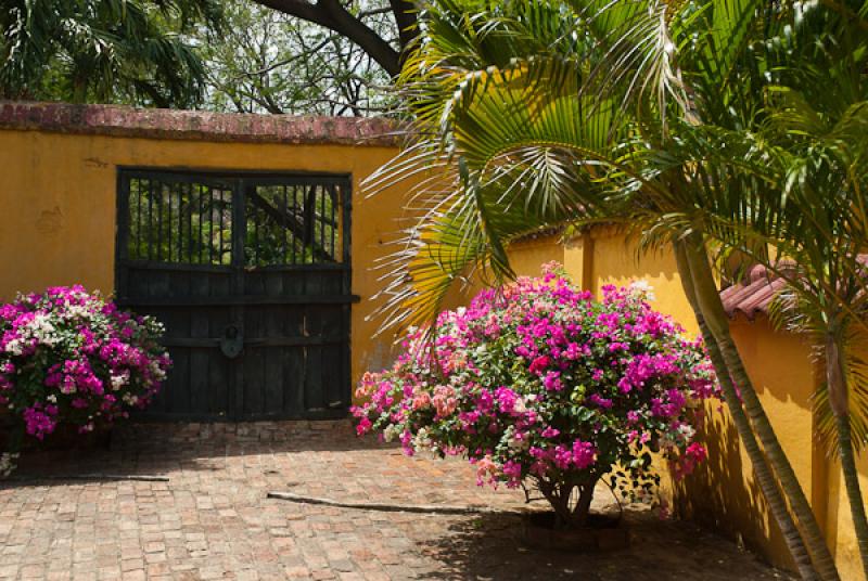 Hacienda Florida de San Pedro Alejandrino, Quinta ...