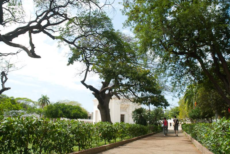 Jardin Botanico Quinta de San Pedro Alejandrino, S...