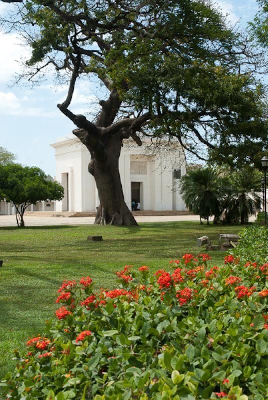 Jardin Botanico Quinta de San Pedro Alejandrino, S...