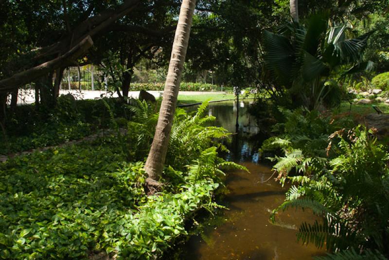 Jardin Botanico Quinta de San Pedro Alejandrino, S...