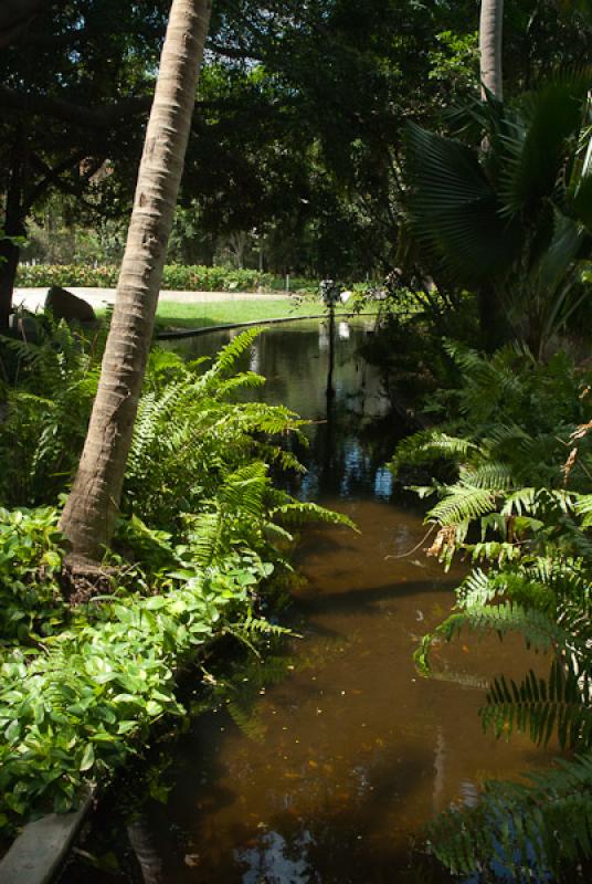 Jardin Botanico Quinta de San Pedro Alejandrino, S...