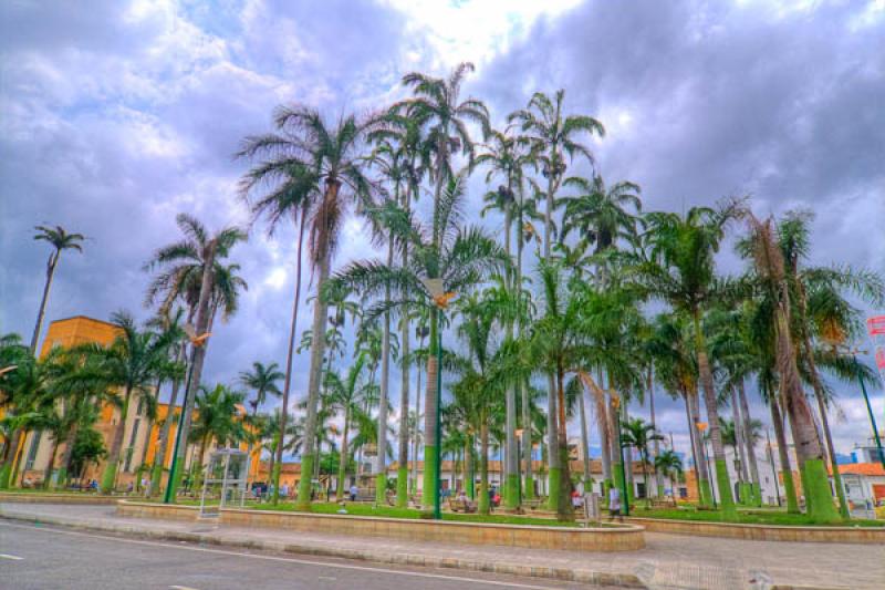 Parque Garcia Rovira, Bucaramanga, Santander, Colo...