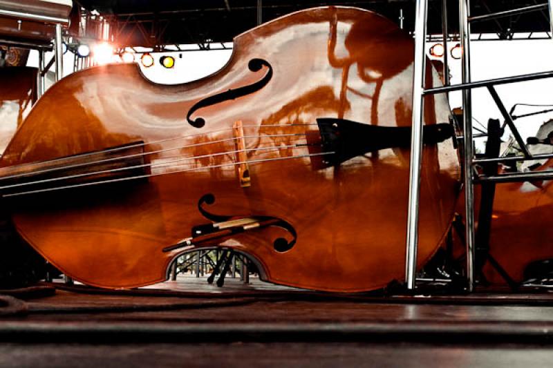 Violonchelo