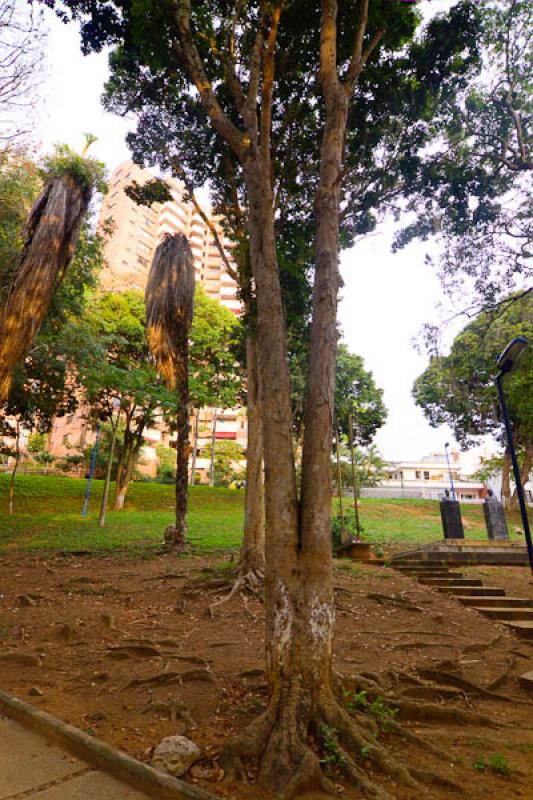 Parque la Loma, Bucaramanga, Santander, Colombia