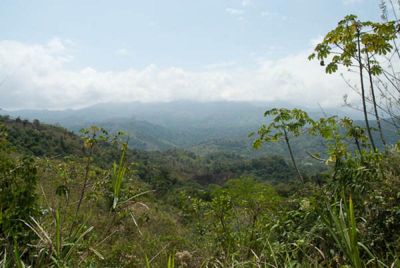 Parque Nacional Natural Tayrona, Santa Marta, Magd...