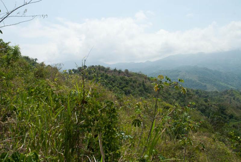 Parque Nacional Natural Tayrona, Santa Marta, Magd...