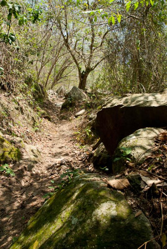 Parque Nacional Natural Tayrona, Santa Marta, Magd...