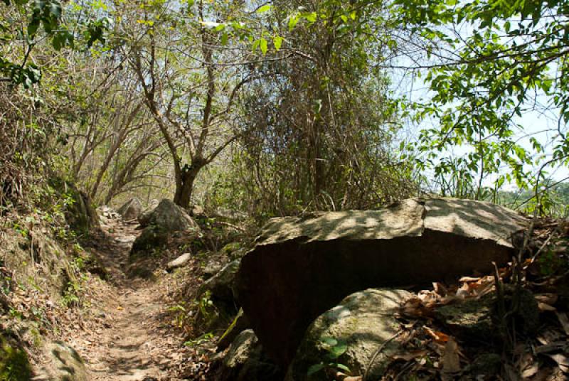 Parque Nacional Natural Tayrona, Santa Marta, Magd...