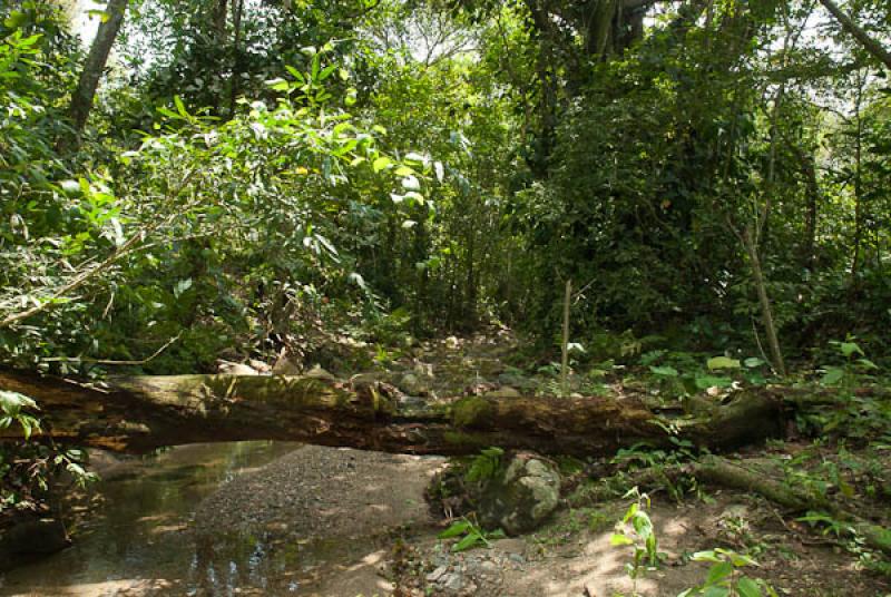 Parque Nacional Natural Tayrona, Santa Marta, Magd...