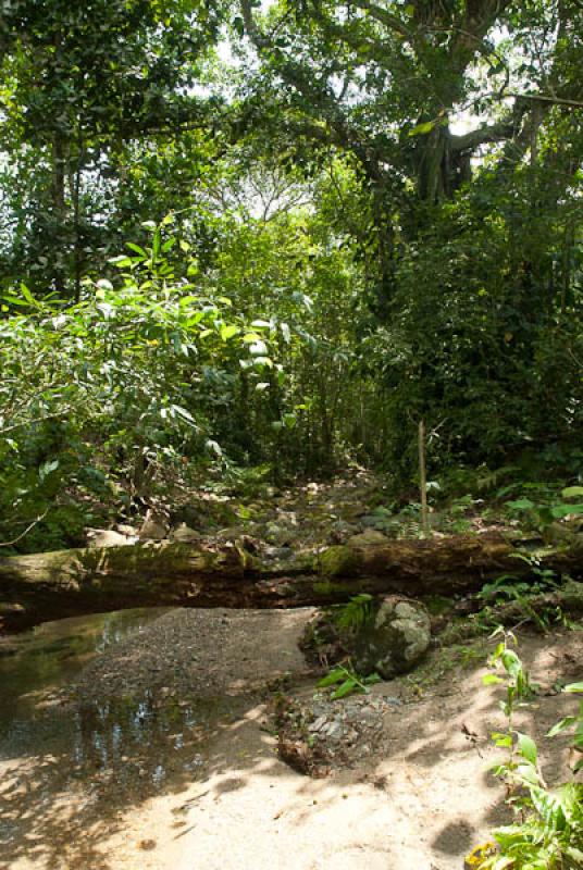 Parque Nacional Natural Tayrona, Santa Marta, Magd...