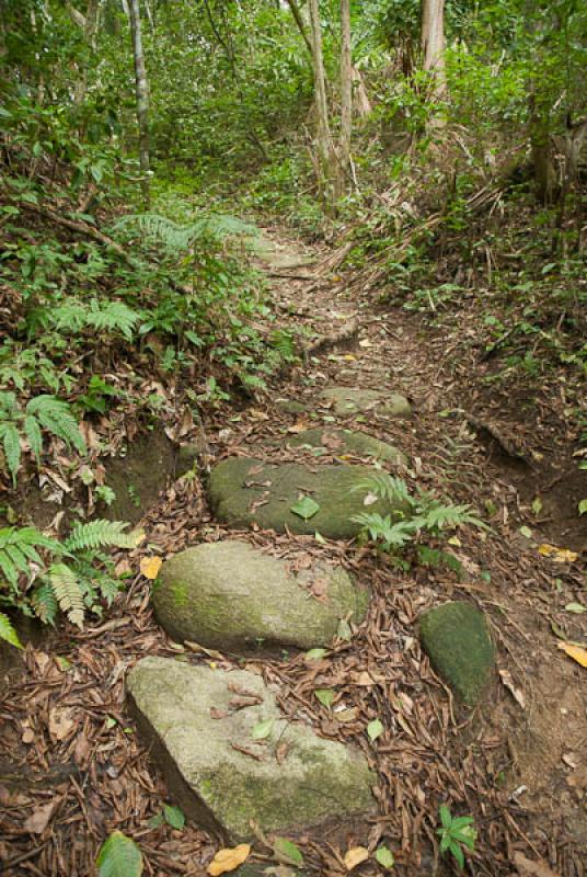 Parque Nacional Natural Tayrona, Santa Marta, Magd...