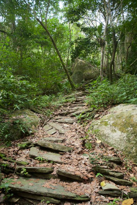 Parque Nacional Natural Tayrona, Santa Marta, Magd...