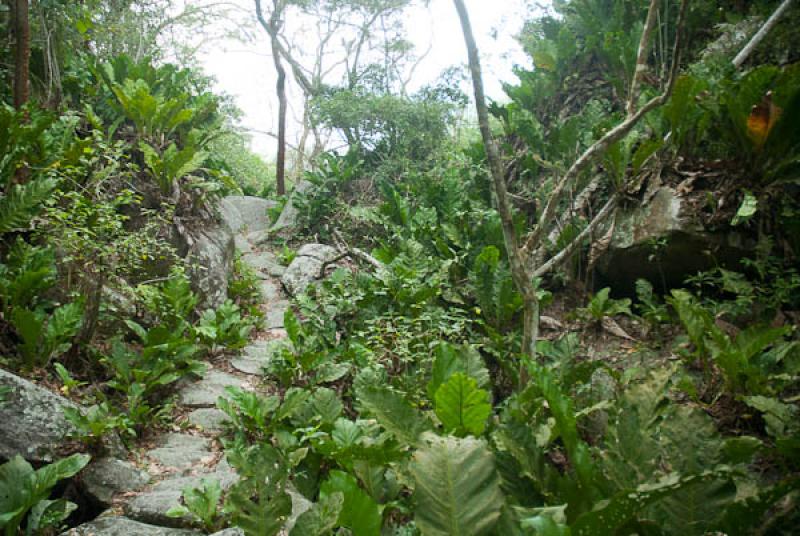 Parque Nacional Natural Tayrona, Santa Marta, Magd...