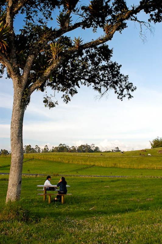 Personas en el Campo