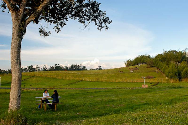 Personas en el Campo