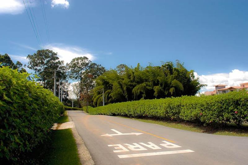 Carretera