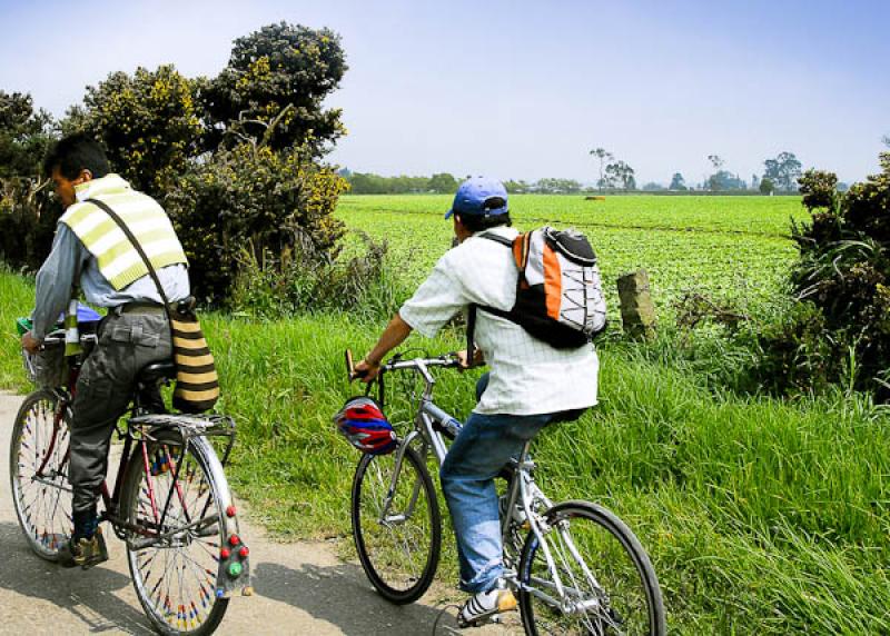 Hombres en Bicicleta, Bojaca, Provincia de Sabana ...