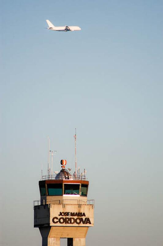 Aeropuerto Internacional Jose Maria Cordova, Rione...