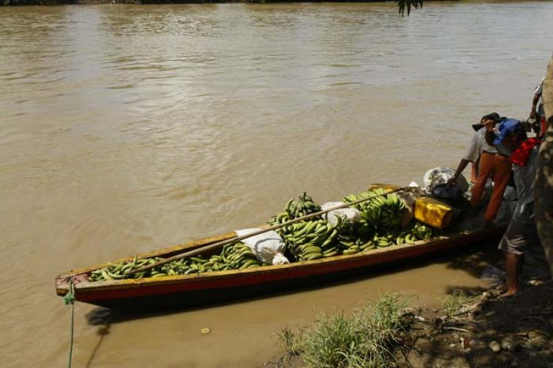 Canoa en el Rio San Jorge, Montelibano, Cordoba, C...