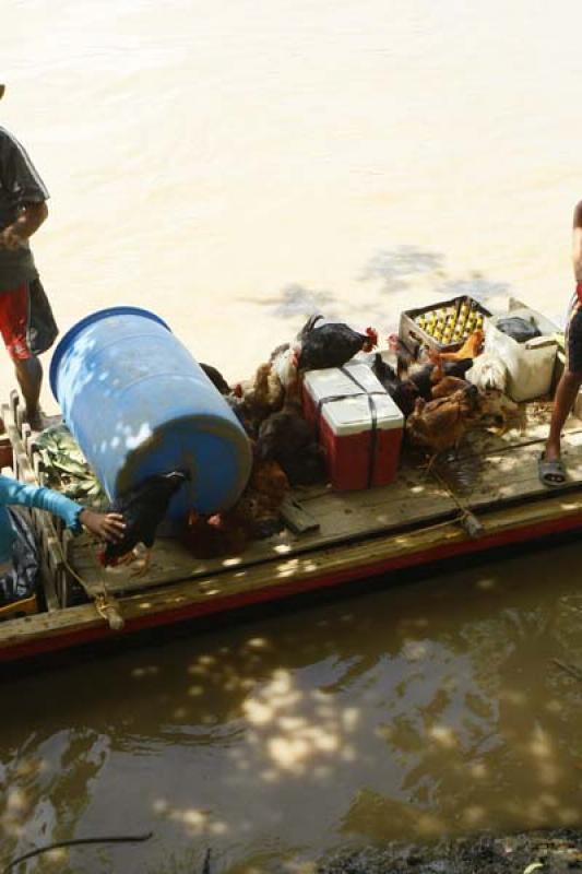 Objetos en una Canoa, Rio San Jorge, Montelbano, C...