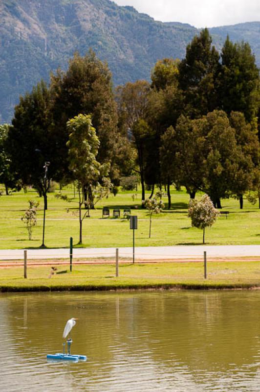 Parque Metropolitano Simon Bolivar, Teusaquillo, B...