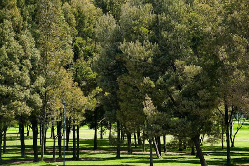 Parque Metropolitano Simon Bolivar, Teusaquillo, B...