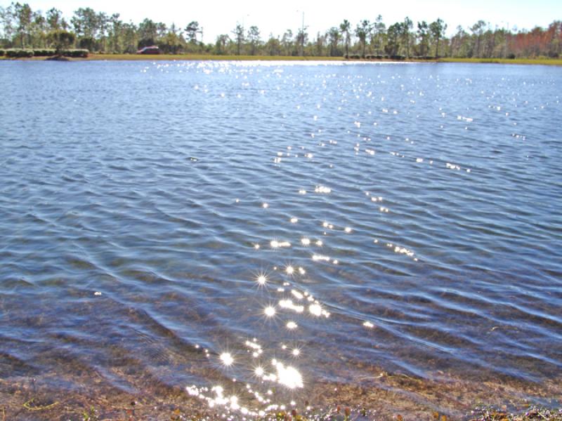 Lago en Orlando, Florida, Estados Unidos, America ...