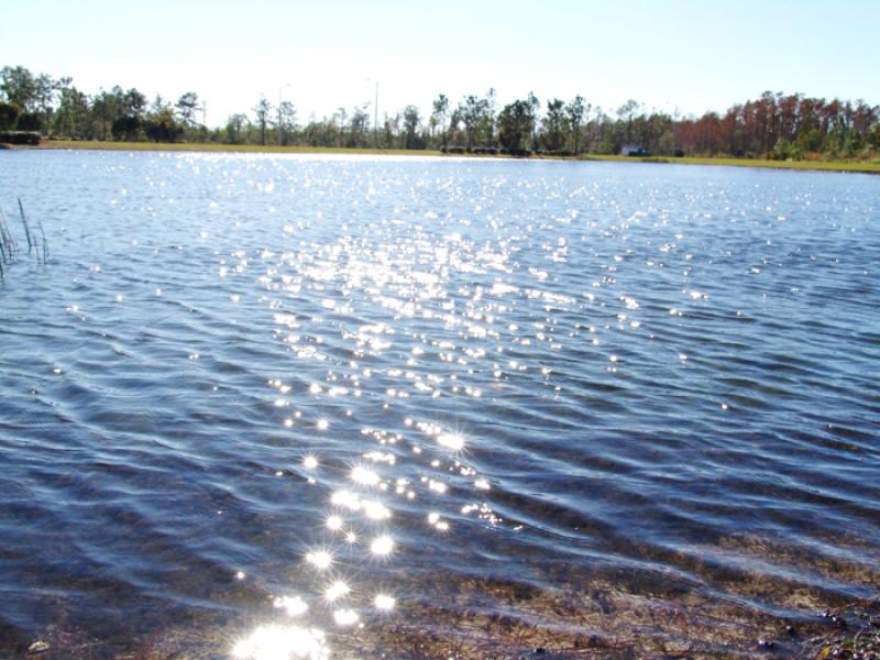 Lago en Orlando, Florida, Estados Unidos, America ...