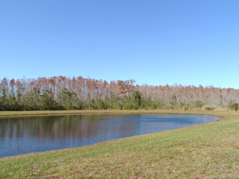 Lago en Orlando, Florida, Estados Unidos, America ...