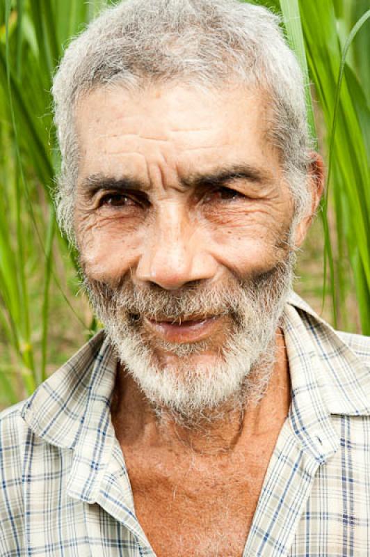 Campesino Recolectando 