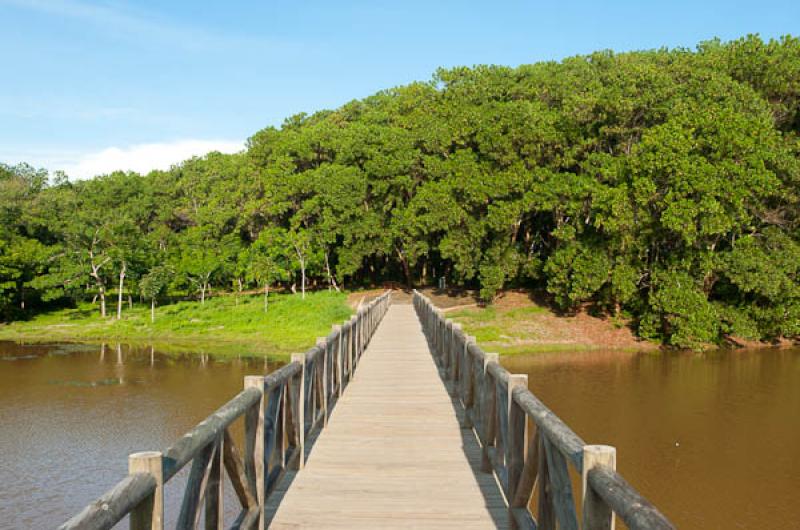 Parque Ecologico Piedras Blancas, Santa Elena, Med...