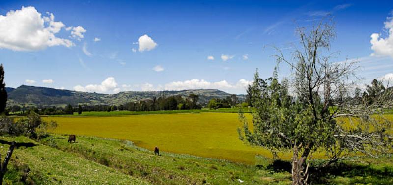 Paisaje de La Calera, Provincia del Guavio, Cundin...