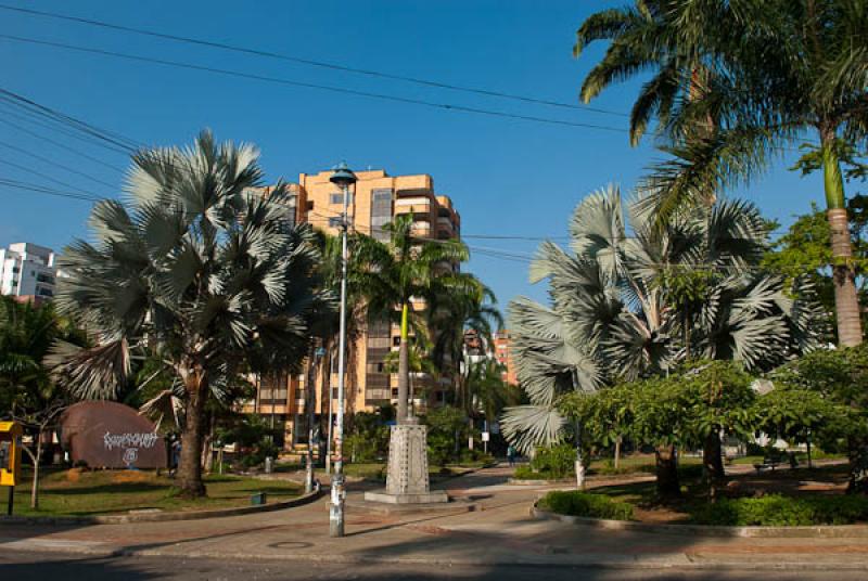 Parque de las Palmas, Bucaramanga, Santander, Colo...