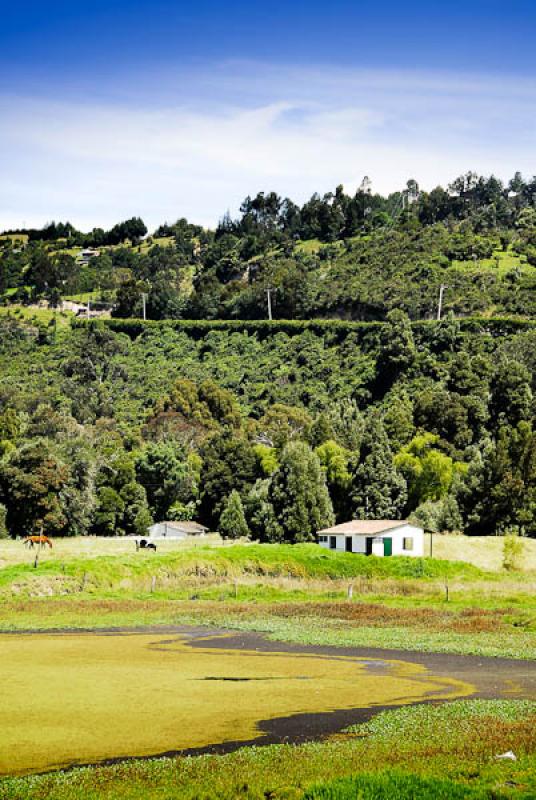 Paisaje de La Calera, Provincia del Guavio, Cundin...