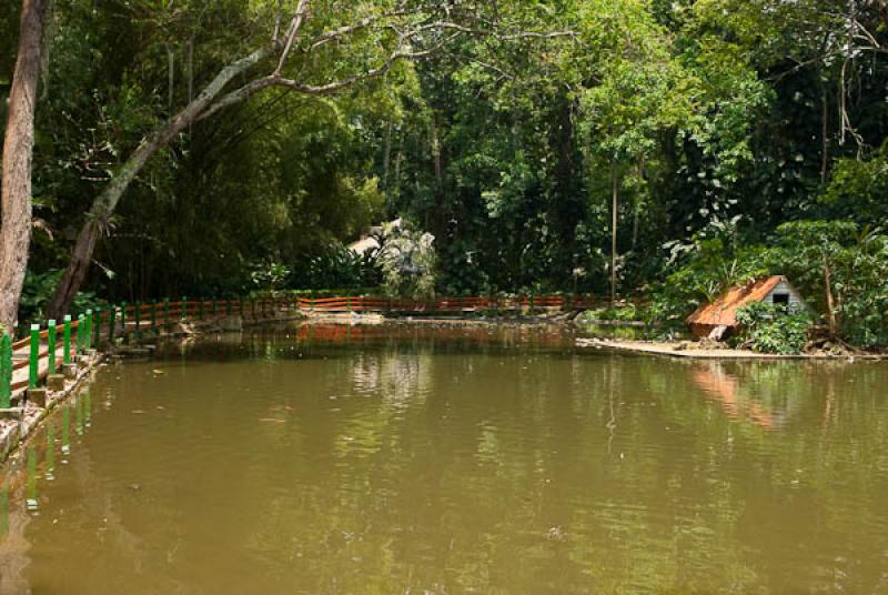 Jardin Botanico Eloy Valenzuela, Floridablanca, Sa...