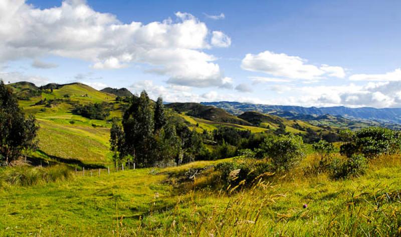 Paisaje del Carmen de Carupa, Provincia del Valle ...