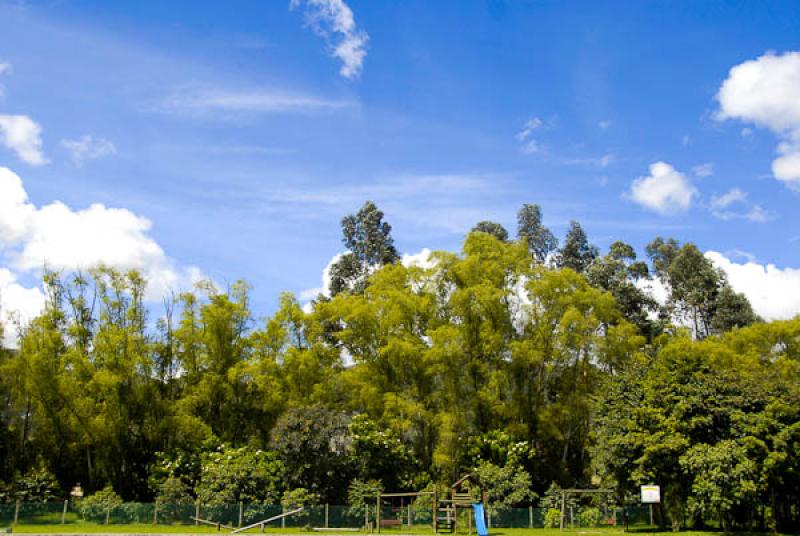 Parque en Chia, Sabana Centro, Cundinamarca, Colom...