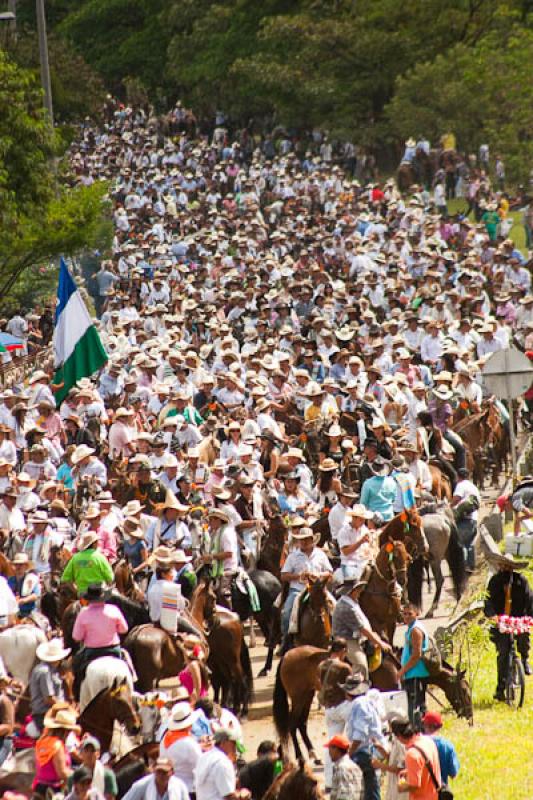 Cabalgata de las Flores, Feria de las Flores, Mede...