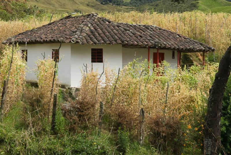 Vivienda Tradicional, Sonson, Oriente AntioqueÃ±...