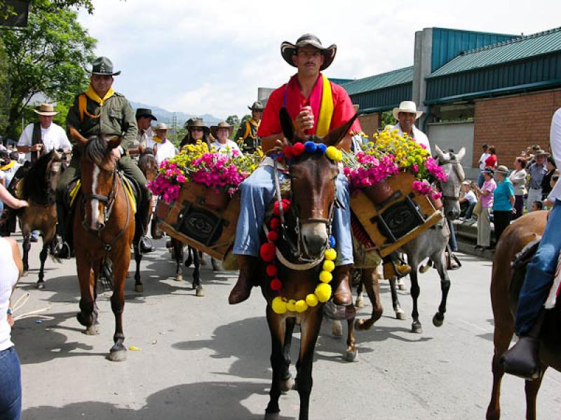 Cabalgata de las Flores, Feria de las Flores, Mede...