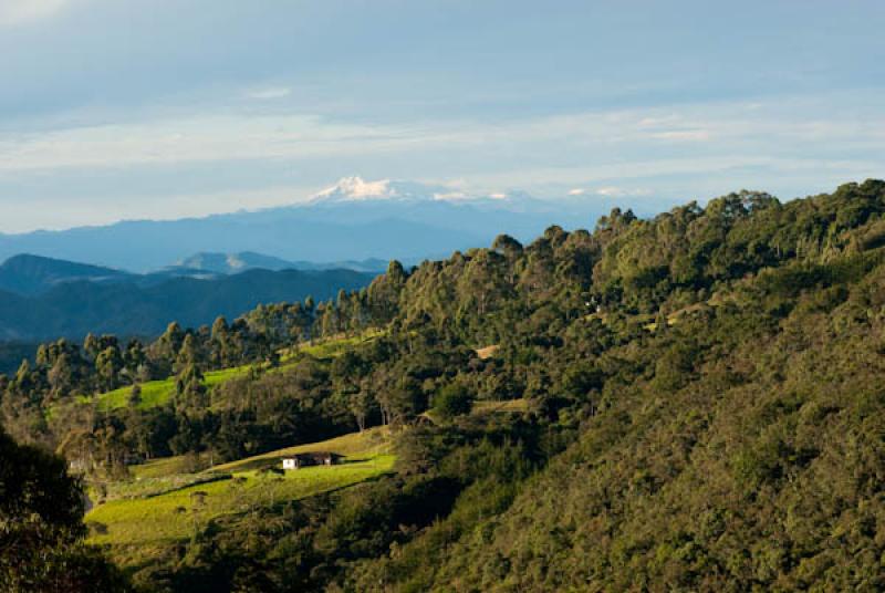 Parque Nacional Natural Los Nevados, Risaralda, Pe...