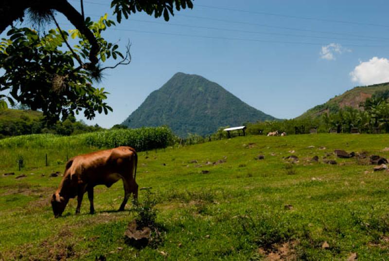 Cerro Bravo, Tolima, Ibague, Colombia