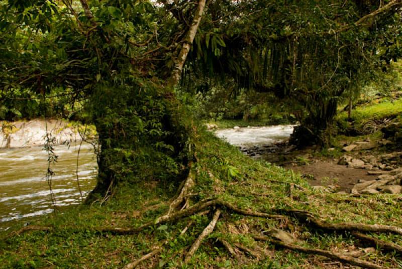 Rio Santo Domingo, San Francisco, Oriente Antioque...