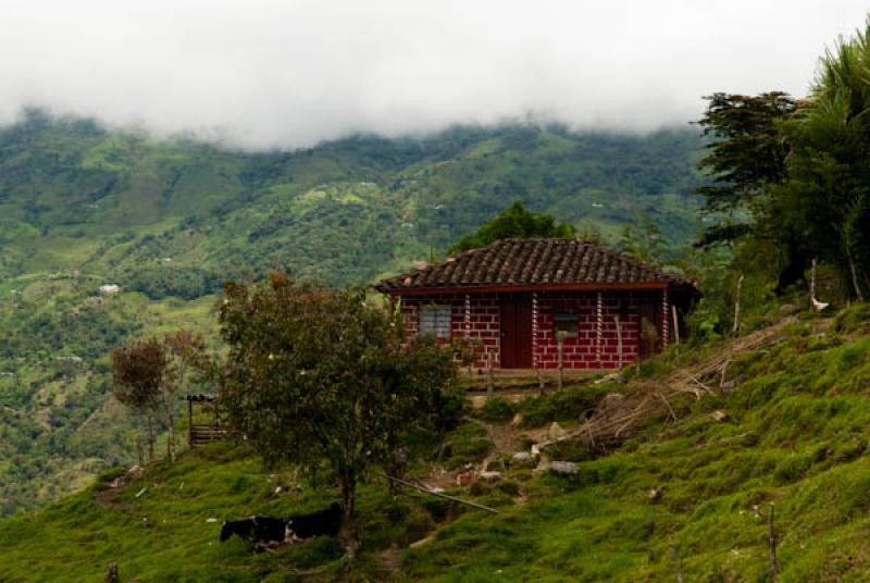 Vivienda en Cocorna, Oriente AntioqueÃ±o, Antioq...