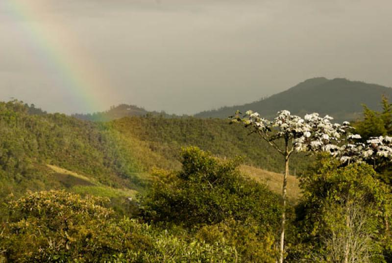 Vereda Perico, Envigado, Valle de Aburra, Medellin...